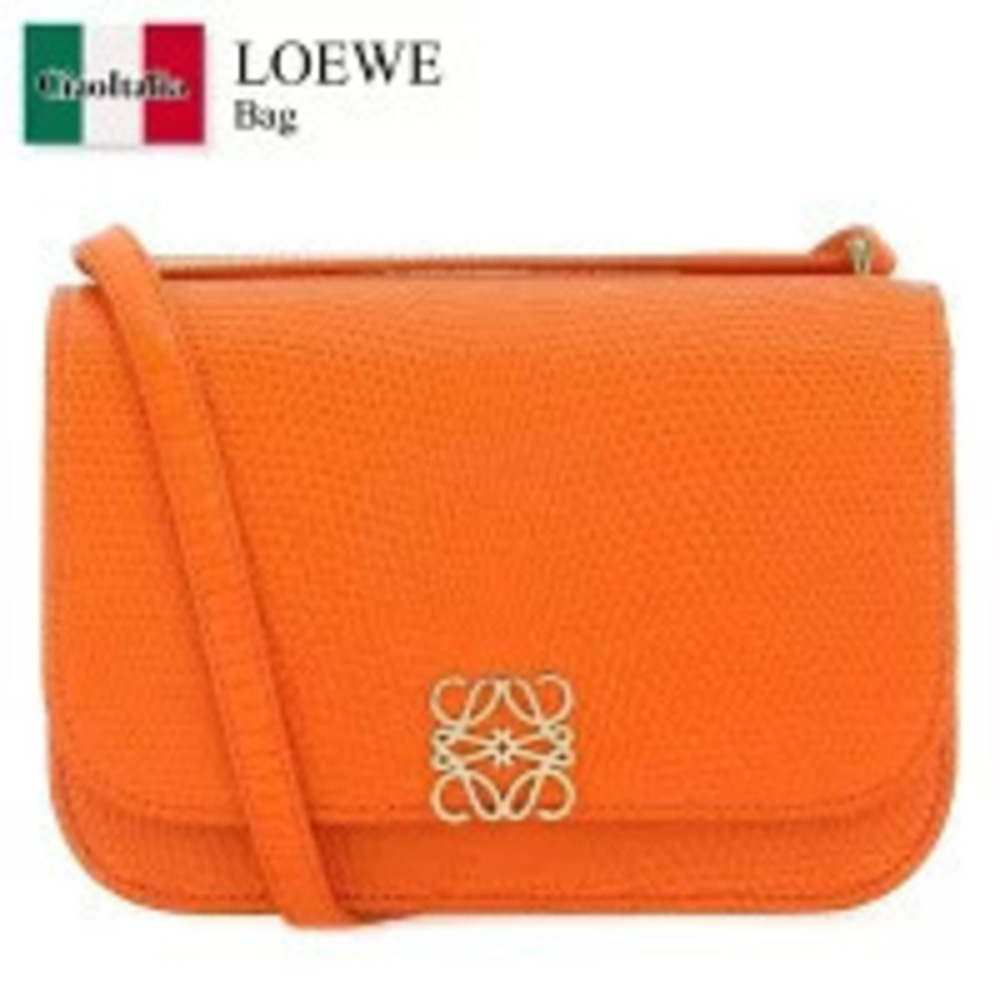 Loewe Bag ORANGE Shoulder Pouch